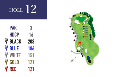 in-hole12