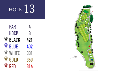 in-hole13