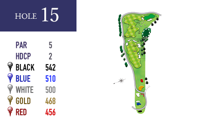 in-hole15