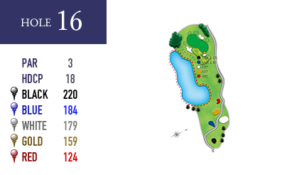 in-hole16